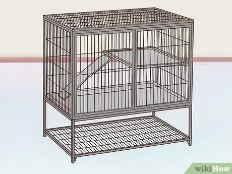 Image titled Exercise a Pet Rat Step 1