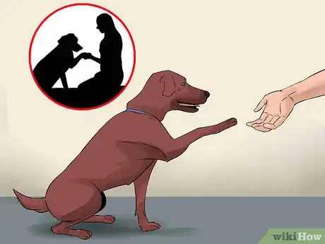 Image titled Become Close With Your Dog Step 16
