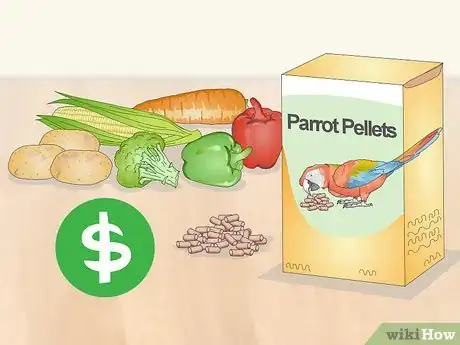 Image titled Know if a Red Bellied Parrot Is Right for You Step 7