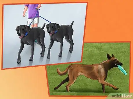 Image titled Save Money on Vet Care for Your Dog Step 3