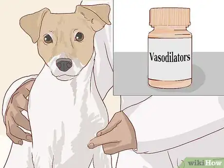 Image titled Treat Cardiac Disease in Older Dogs Step 6