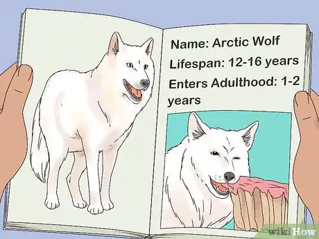 Image titled Become a Wolf Expert Step 3