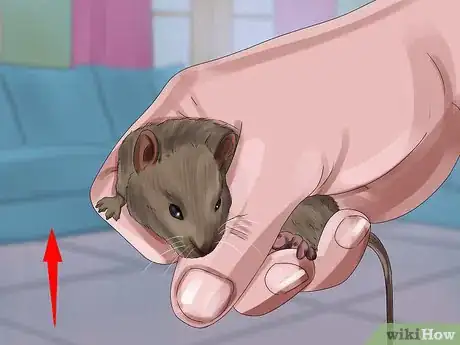 Image titled Catch a Gerbil on the Loose Step 11