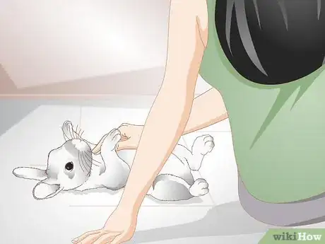 Image titled Spoil Your Pet Rabbit Step 8