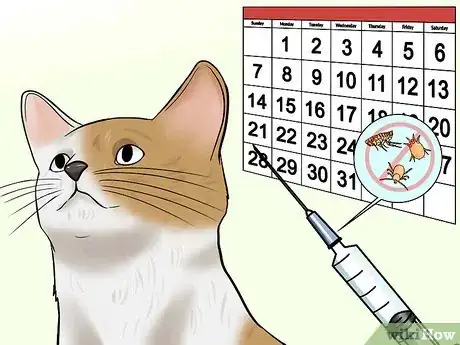 Image titled Diagnose Tapeworms in Cats Step 9