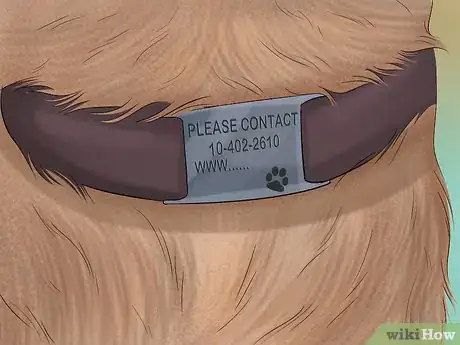 Image titled Travel Safely With Dogs Step 15