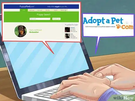 Image titled Find an AKC Puppy Step 11