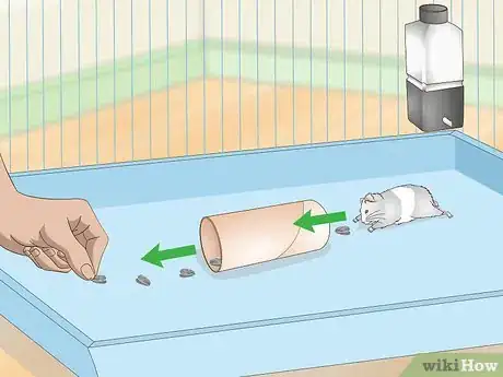 Image titled Train a Hamster to Run Through Tunnels Step 2