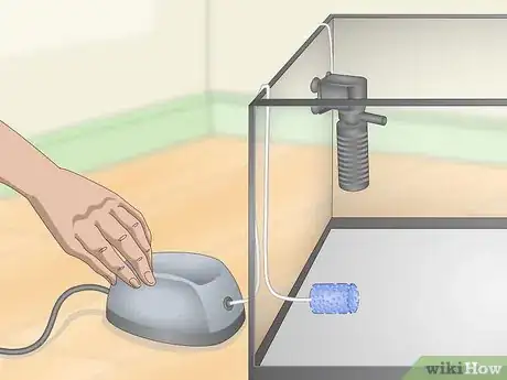 Image titled Build a Freshwater Predator Fish Aquarium Step 3