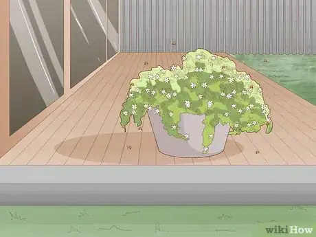 Image titled Use Home Remedies to Get Rid of Gnats Step 9