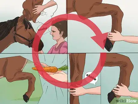 Image titled Train a Horse to Shake a Hoof Step 13