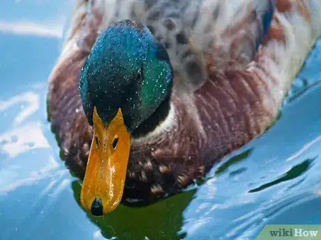 Image titled Compose Your Center of Interest Step 13