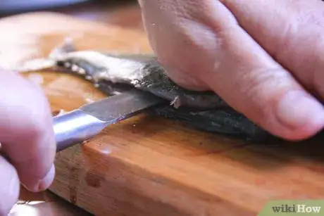Image titled Fillet a Mackerel Step 18