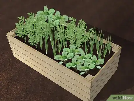 Image titled Plant an Autumn Container Garden Step 4