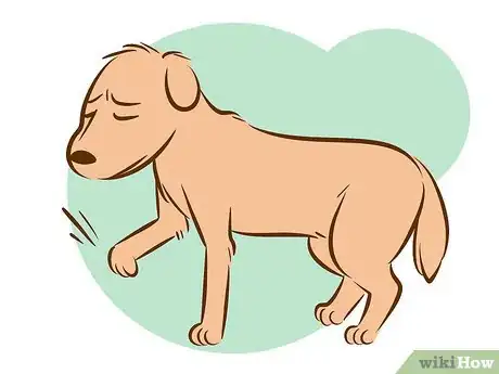 Image titled Recognize a Dying Dog Step 3