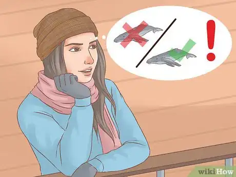 Image titled Go Whale Watching in Winter Step 8