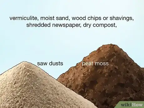 Image titled Cut Dahlia Tubers Step 12