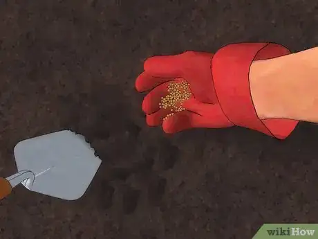 Image titled Fertilize Lantana Step 4