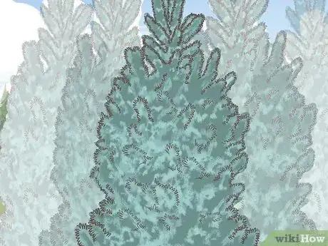 Image titled Hang Heavy Ornaments on a Real Tree Step 9