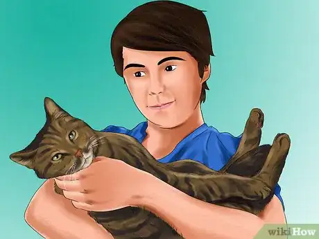 Image titled Give Ronidazole to Cats with Trichomoniasis Step 8