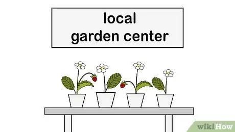 Image titled Buy a Strawberry Plant Step 11