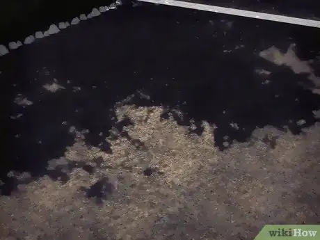 Image titled Grow Flowering Dogwood Step 5