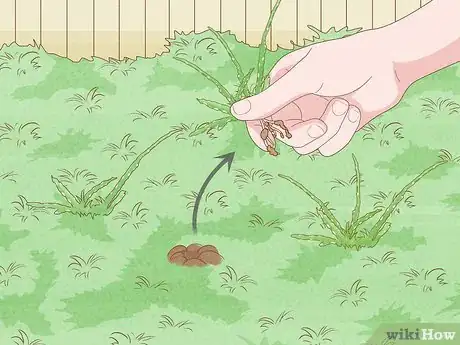 Image titled Repair a Bare Patch of Lawn Step 8