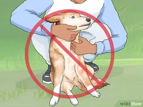 Image titled Handle Dog Begging for Food Step 2