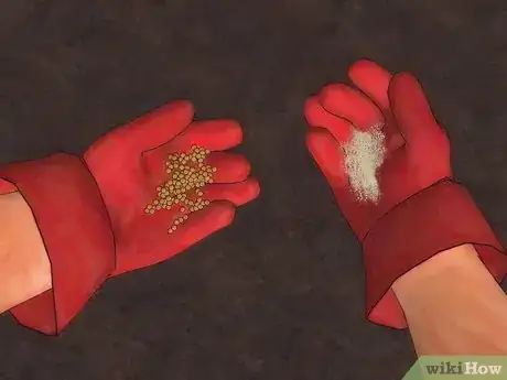 Image titled Fertilize Lantana Step 2