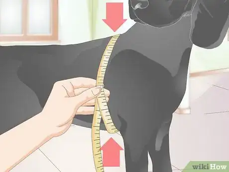 Image titled Fit a Dog Backpack Step 2