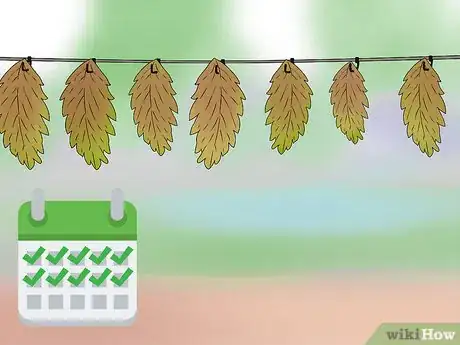 Image titled Grow Agrimony Step 14