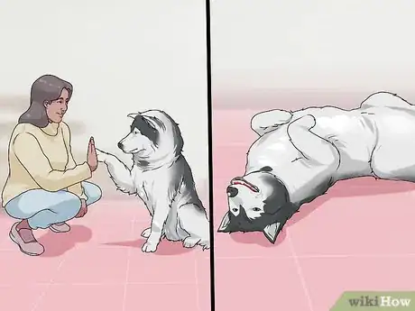 Image titled Bond with a Needy Dog Step 3