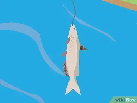 Image titled Catch Brook Trout Step 7