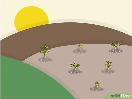 Image titled Grow Lanzones Step 12