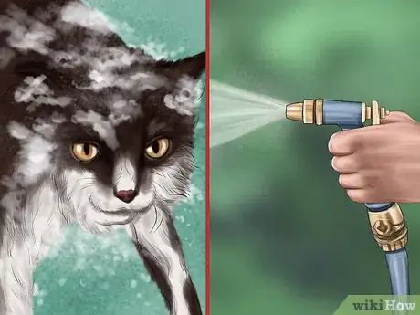 Image titled Treat Seasonal Allergies in Cats Step 5