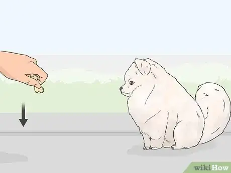 Image titled Teach a Dog to Bow Step 8
