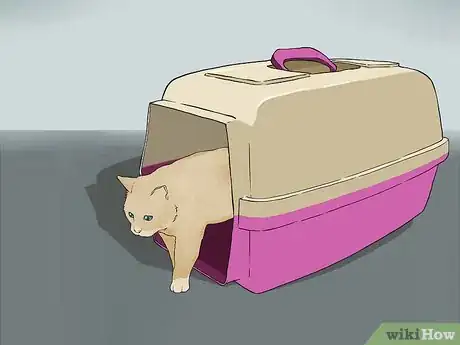 Image titled Travel with a Cat Step 10