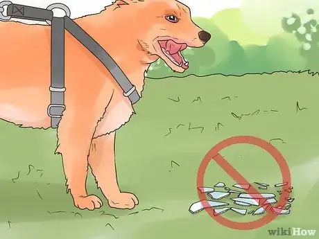 Image titled Protect Dog Paws Step 12
