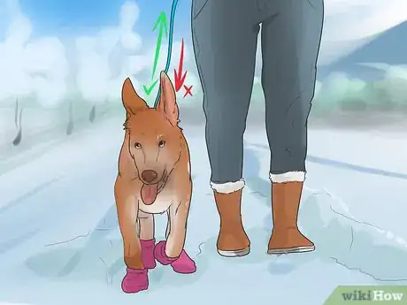 Image titled Help Your Dog Move in the Snow Step 4