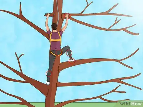 Image titled Climb a Tree Quickly Step 9