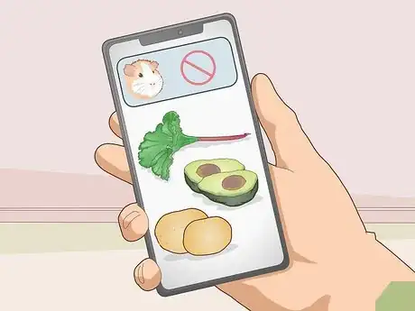 Image titled Prepare for Your New Guinea Pig Step 15