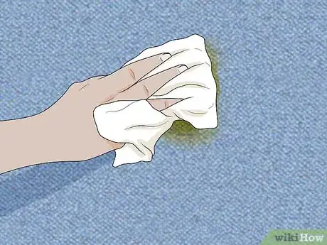 Image titled Remove Pet Stains Step 2