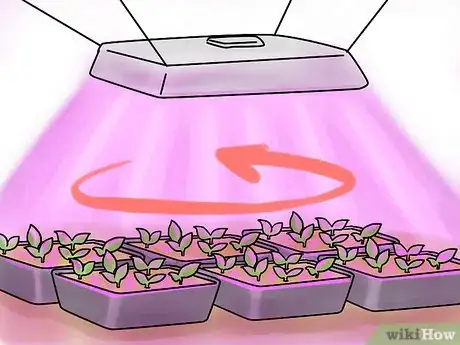 Image titled Grow Vegetables With Grow Lights Step 7