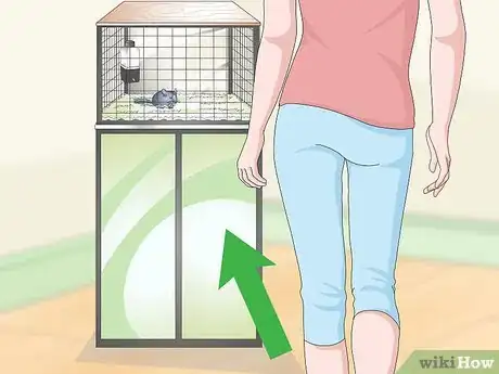 Image titled Help Your Chinchilla Adjust to its New Home Step 15