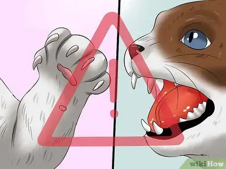 Image titled Amuse Cats Step 11