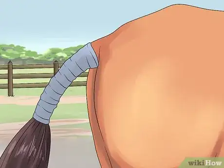 Image titled Deliver a Foal Step 8