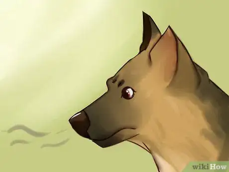 Image titled Get Your Dog to Pose for Santa Pictures Step 12