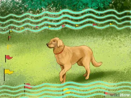 Image titled Buy Dog Training Collars Step 9