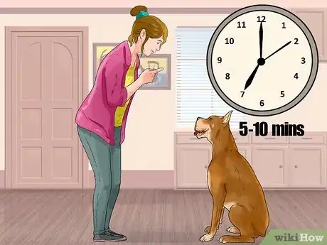 Image titled Train a Boxer Dog Step 6