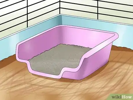 Image titled Toilet Train a Hamster Step 3